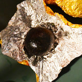 Chinese Casual Snack Health Herbal Pills Heizhima Superior Black Sesame Balls