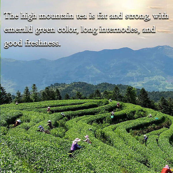 250g HelloYoung Taiwan jinxuan milky oolong tea healthy slimming milk oolong tea