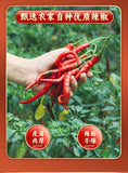 Yunnan Chili Powder – Spicy Dipping Sauce & Hot Pot Seasoning