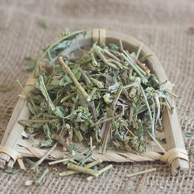 Dried Euphorbiae Hirtae Herba, Garden Euphorbia, Euphorbia hirta L. Fei Yang Cao Secondary image