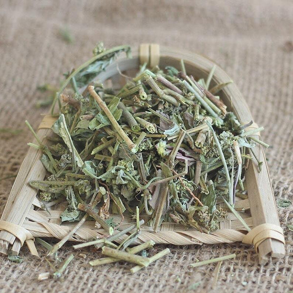 Dried Euphorbiae Hirtae Herba, Garden Euphorbia, Euphorbia hirta L. Fei Yang Cao