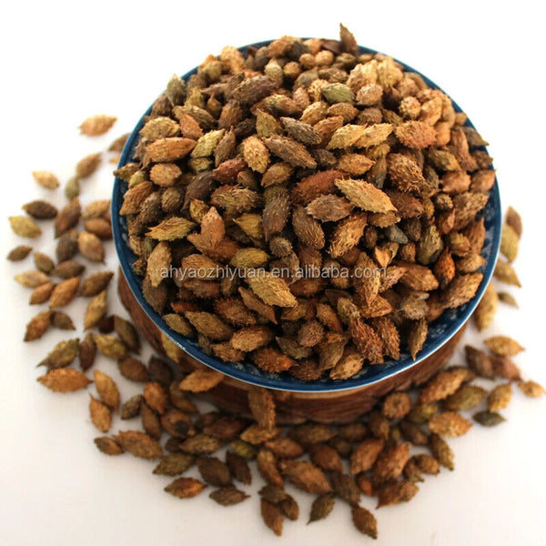 Cang Er Zi Top Sale Siberian Cocklebur Fruit / Xanthium Sibiricum Herbs 250g