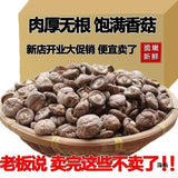 Wild Shiitake Mushrooms Dried Wholesale Bulk Fresh Aroma Cooking Ingredients