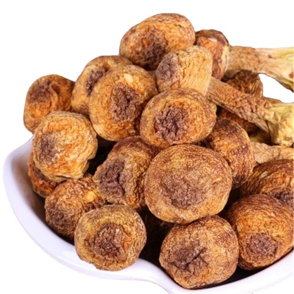 100%Natural Dried Almond Mushroom Agaricus Blazei Jisongrong Almond Chinese Herb Secondary image