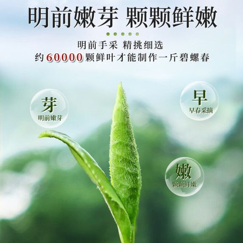 2025 Premium Bi Luo Chun Green Tea Ming Qian First Pick High Mountain Secondary image