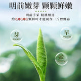 2025 Premium Bi Luo Chun Green Tea Ming Qian First Pick High Mountain