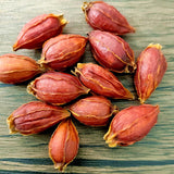 Gardenia bulk gardenia dried red gardenia water gardenia flower fruit tea 17.6oz