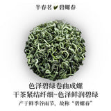 2025 Mingqian Biluochun Green Tea Premium Fragrant Small Can Personal Gift