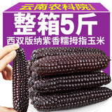 Xishuangbanna Sweet Sticky Corn – Wholesale Vacuum Pack