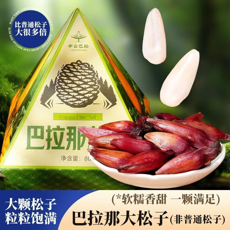 Yunnan Parana Pine Nuts – Hand-Picked Jumbo Shelled Main image
