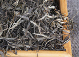 500g Pu-erh Raw Tea Loose Tea 凤凰山古茶园头春凤凰窝散普