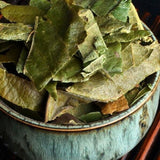 Premium Dried Loquat Leaf Tea 100g Traditional Chinese Herbal Health