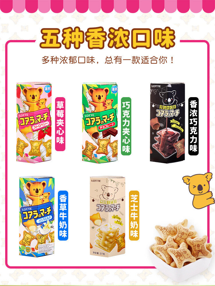 LOTTE Lotte Bear Biscuit 37g*2 Box Sandwich Bear Biscuit Children's Snacks
