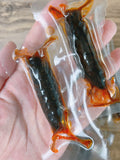 100g Vacuum Sealed Instant Sea Cucumber High Protein Low Fat Snack