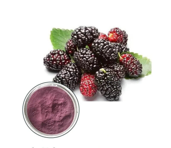 ISO Zertifikat Maulbeeren Pulver Maulbeeren Frucht Pulver Extrakt für Getränk