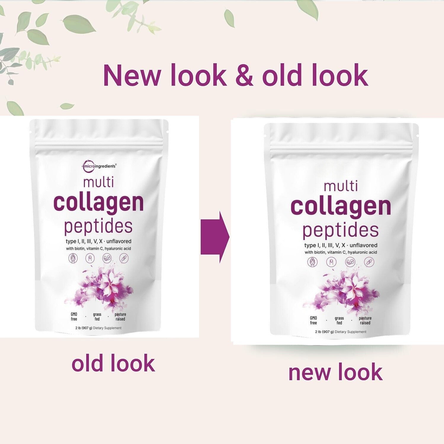 Multi Collagen Peptides Powder - Hydrolyzed Protein Peptides (Type I,II,III,V,X)