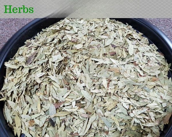 SENNA LEAVES Tea NATURAL Leaf PURE Dried Herb 100% Premium Herbal Teas FREE POST