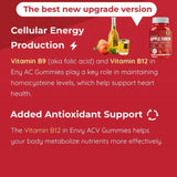 Apple Cider Vinegar Gummies Apple Cider Vinegar Gummies 60 Capsules