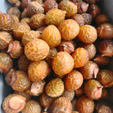 Sapindus indica pericarp herb Sapindus indica pericarp Sapindus indica500g/1.1lb