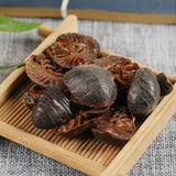 250g Natural Organic Healthy Herbal Tea 蟅虫 High Quality Zhechong Health Care
