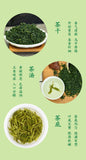 2025New Green Tea Loose Leaf Spring Tea Qingdao Specialty High Mountain Fragrant
