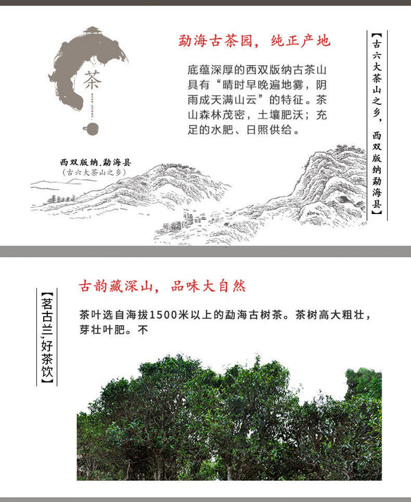 Yunnan Menghai Pu'er Tea Ripe Tea Mellow and Durable Pu'er Tea Cake 100g
