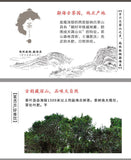 Yunnan Menghai Pu'er Tea Ripe Tea Mellow and Durable Pu'er Tea Cake 100g