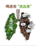 Fatty sea chrysanthemum tea Luo Han Guo Licorice Chen Pi tea bag infusion 5.29oz