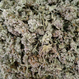 Premium Dried Honey Flower Fresh Stock Chinese Medicinal Herb Natural