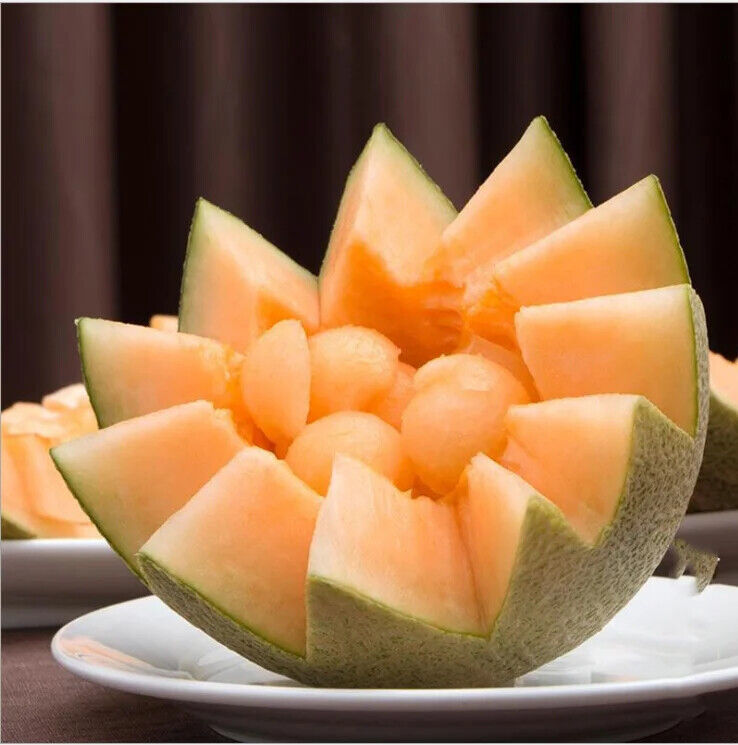 Cantaloupe Fruit Honeydew Hami Melon Extract Powder Water Soluble Beverage