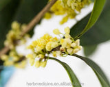 Dried Pure Sweet-scented Osmanthus Blossoms Natural Blooming Flower Tea 250g