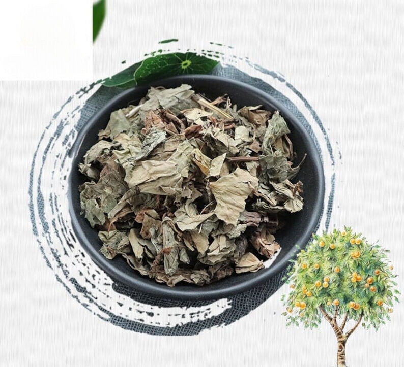 Yu Xing Cao/鱼腥草/어성초 /Harvested Dried Loose Leaves /Houttuynia Cordata Tea Main image
