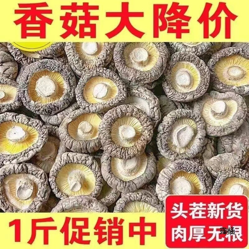 Wild Shiitake Mushrooms Dried Wholesale Bulk Fresh Aroma Cooking Ingredients Secondary image