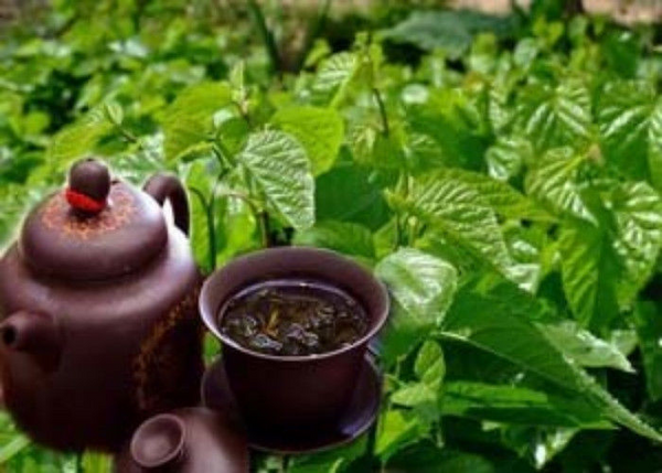 Dried Mulberry Leaf Tea Chinese Natural Mulberry Leaves Tea Herbal Detox Tea50g