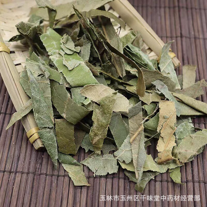 Fresh Oquat Leaf Chinese Herbal Guangxi Wild Loquat Leaf Dried Loquat Leaf Tea Secondary image