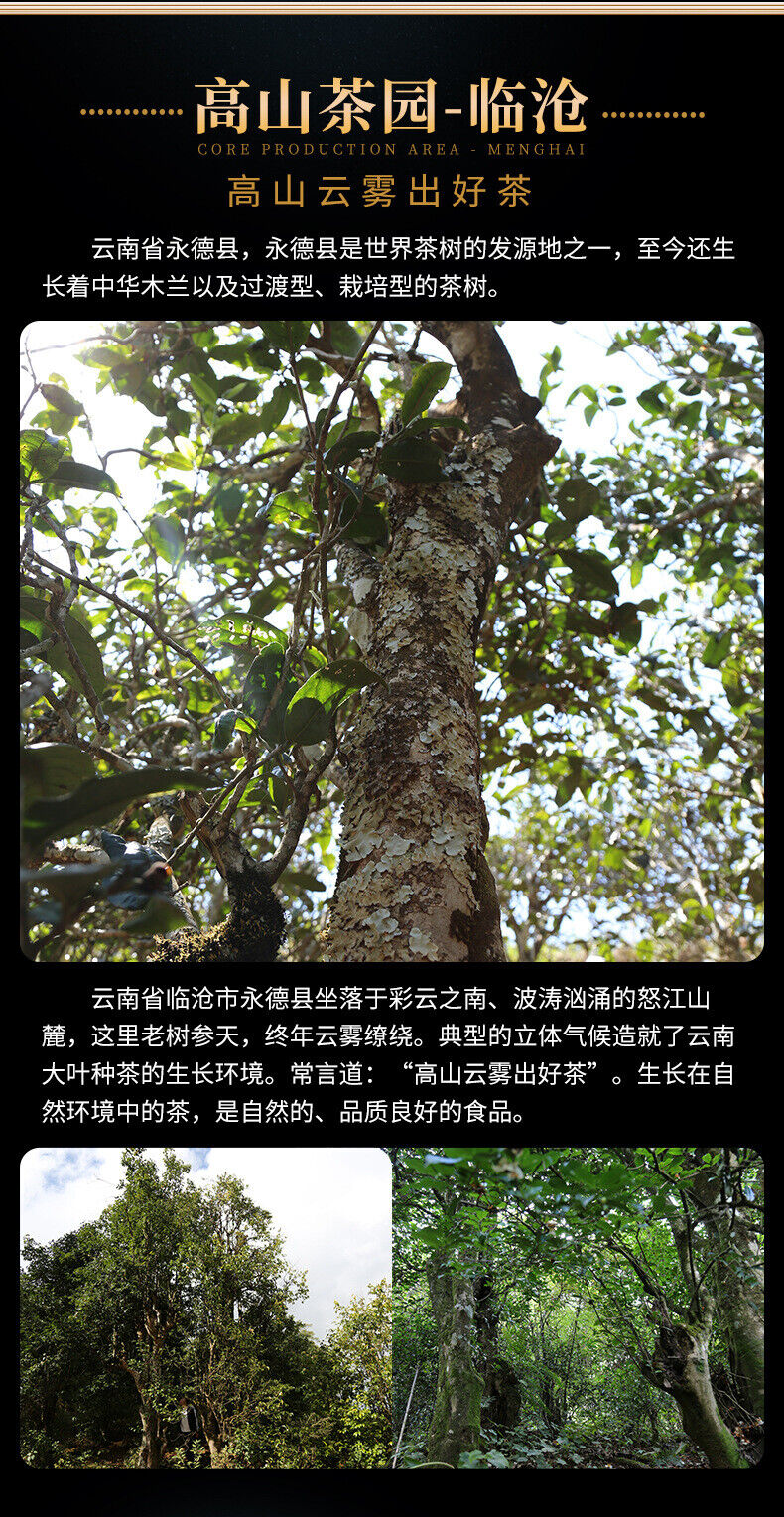 Aged Ancient Tree Pu'er Tea Raw Tea Tuo Tea Golden Melon 400g