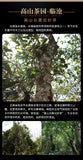 Aged Ancient Tree Pu'er Tea Raw Tea Tuo Tea Golden Melon 400g