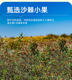 Sea buckthorn fruit powder rich in vitamin c sea buckthorn whole fruit powder