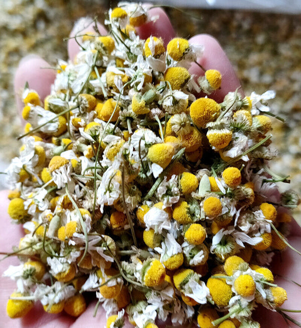 Chamomile new chamomile dried flowers chamomile petals froth flowers crushed