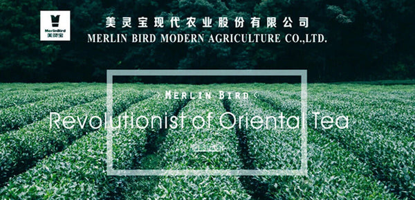 Chinese EU Standard Blooming Tea Ball Healthy Flower Tea