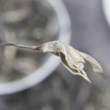 500g Hundred Years Big Tree Grand Xueshan Pu-erh Tea Loose Spring Tea