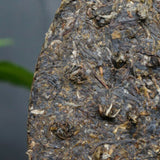 357g Shang Pin Golden Ribbon Big Snow Mountain * Xiaguan Puer Puerh Tea