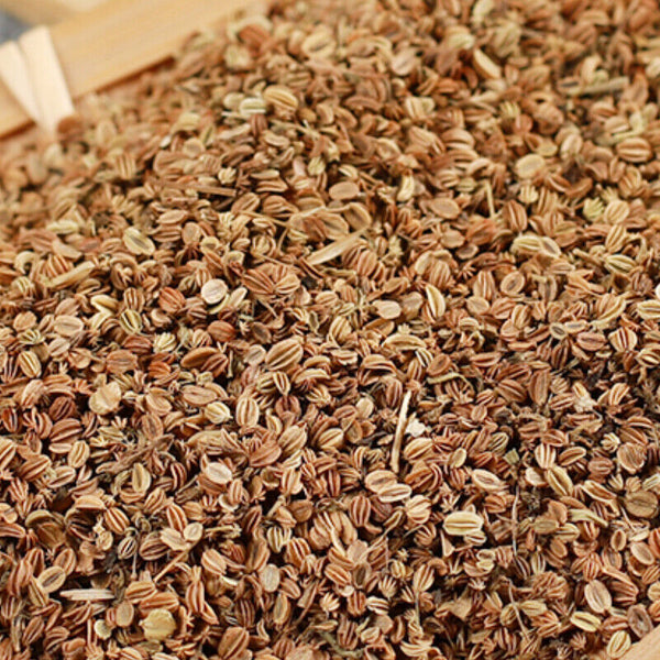 Top Grade 500g 100% Natural High Quality Cnidium Shechuangzi 蛇床子 Health Care