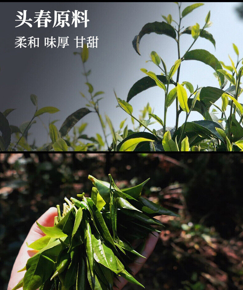 500gYunnan Puerh Raw Tea Leaves Mini Small Yuan Bao Old Tree Pu'er Small Tuo Tea