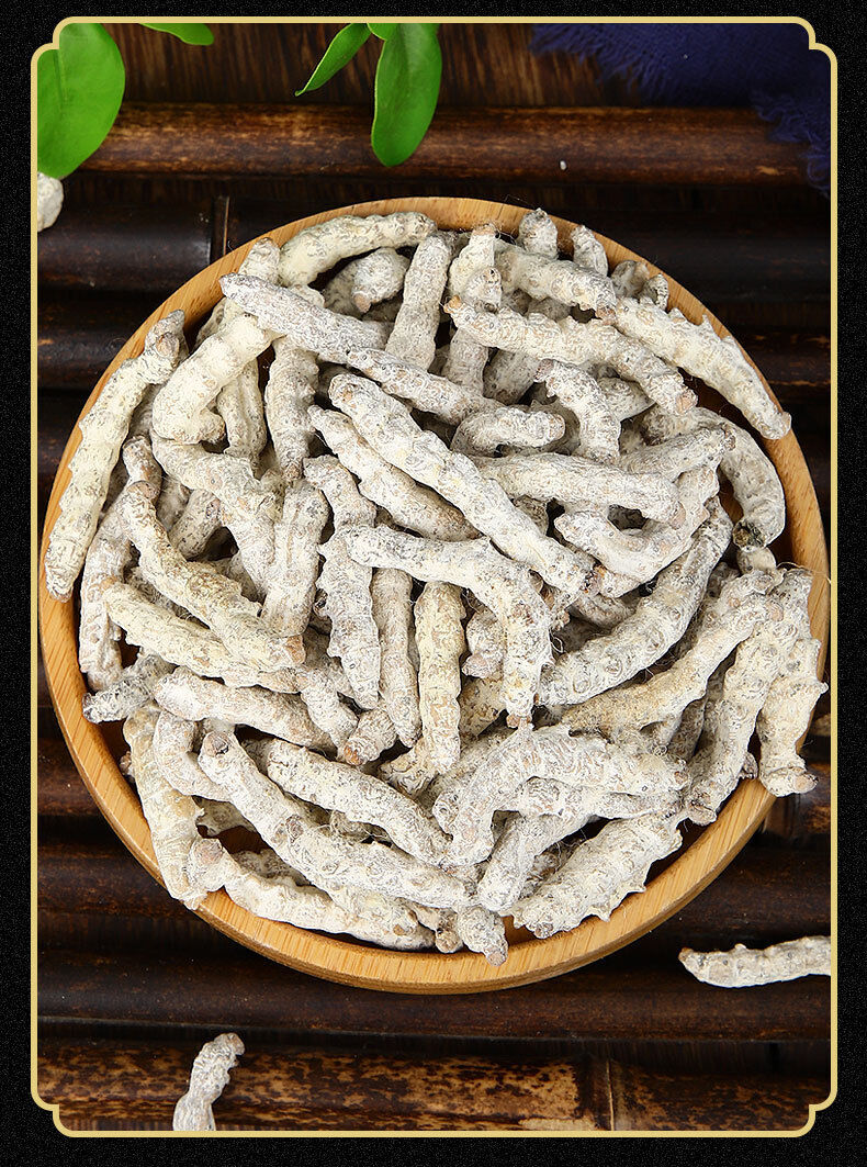 Stiffworms Chinese Herbal Medicine Stiffworms White Stiffworms 500g/1.1lb