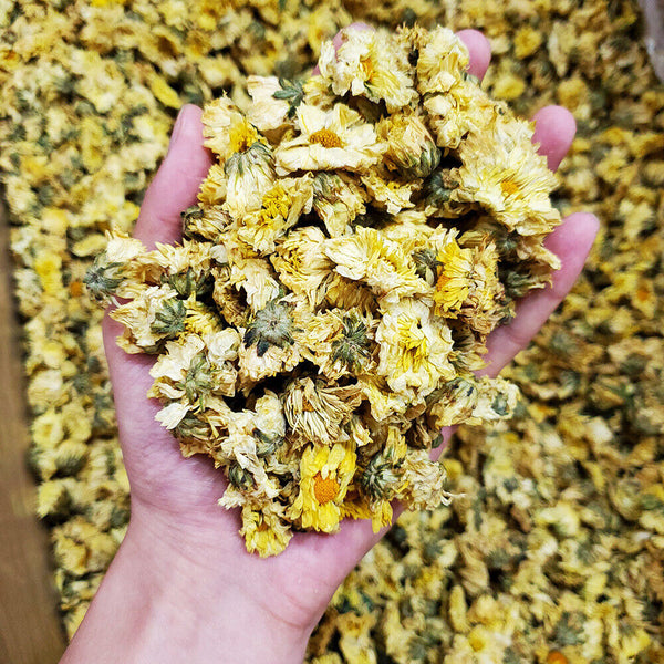 New Fetal Chrysanthemum HangBai Chrysanthemum Infusion Herbal Tea500g/1.1lb
