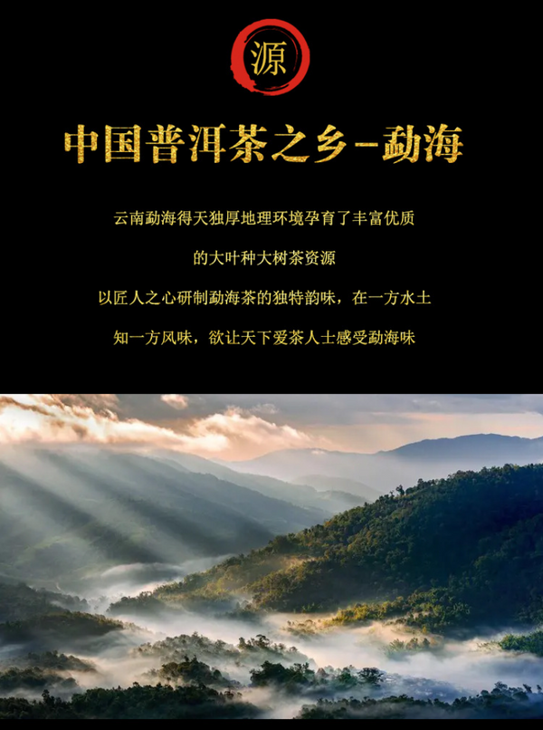 500g Pu'er ripe tea mini Xiaotuo tea aged Pu'er small round cake round tuo tea
