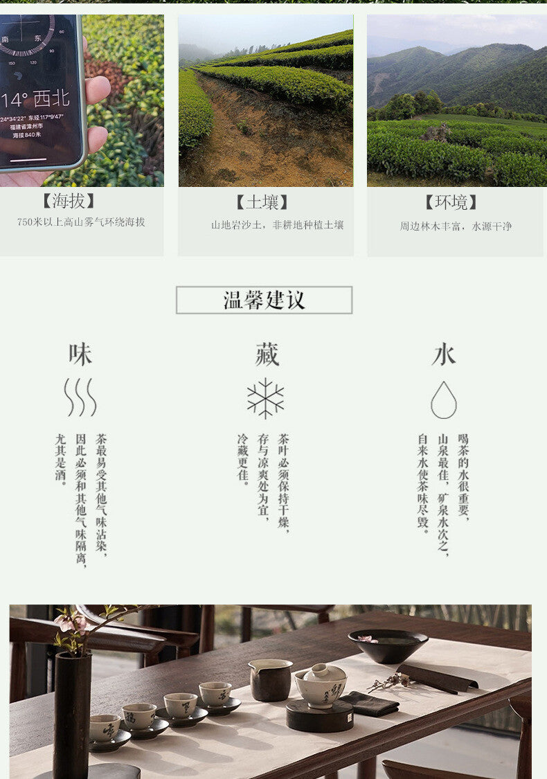 Oolong Medium Roast Charcoal Roasted Bai Ya Qi Lan Loose Leaf New Wuyi Rock Tea