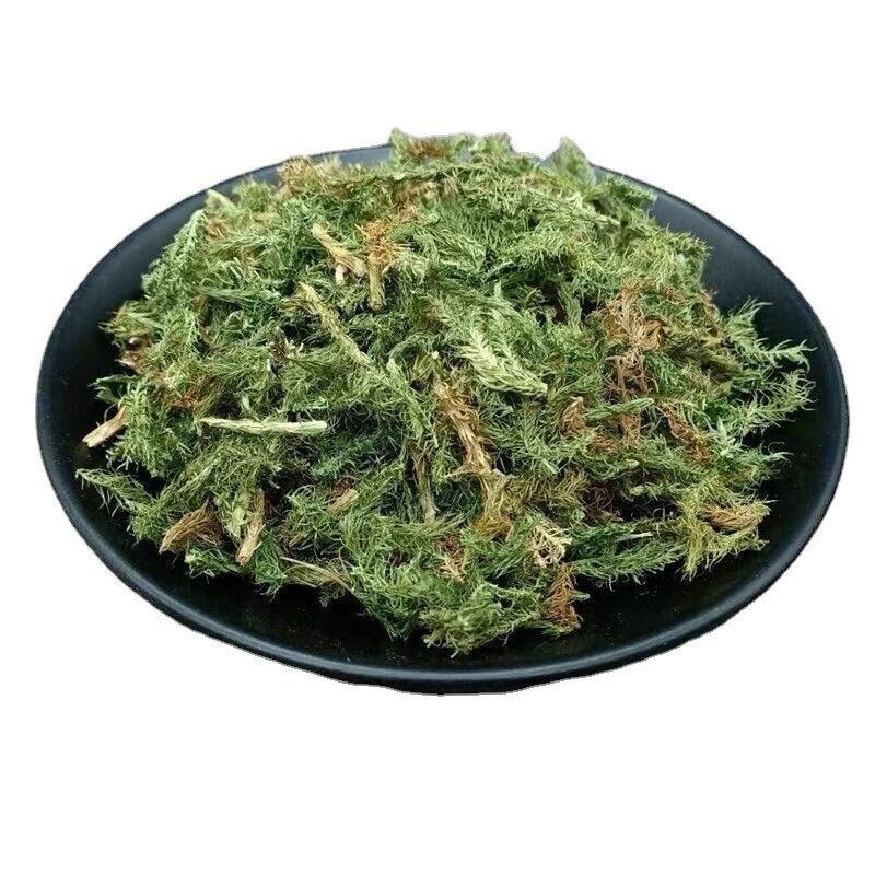 New Organic Shenjincao Organic Herbal Tendongrass Natural Herbal Tea 500g/1.1LB