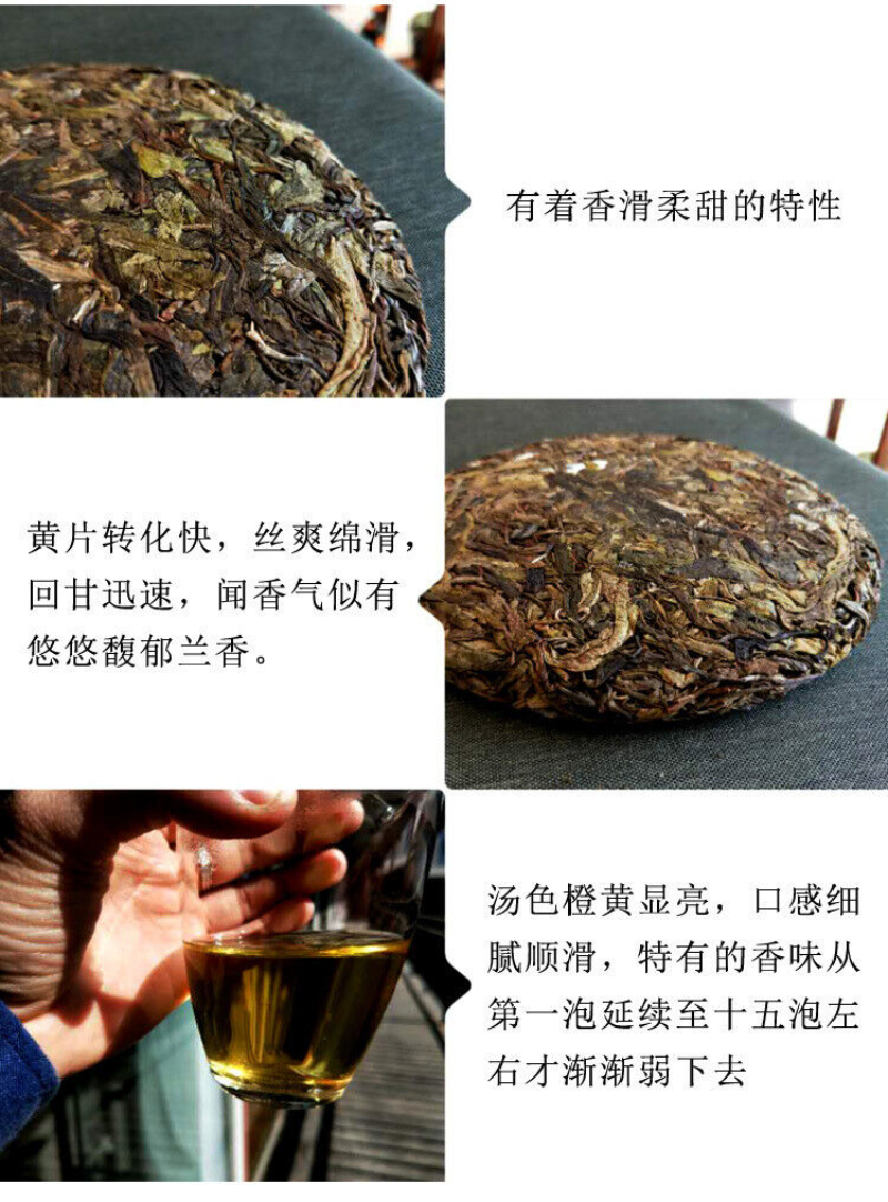 357g Pu'er raw tea golden leaves golden Mengku yellow slices, seven seed cakes